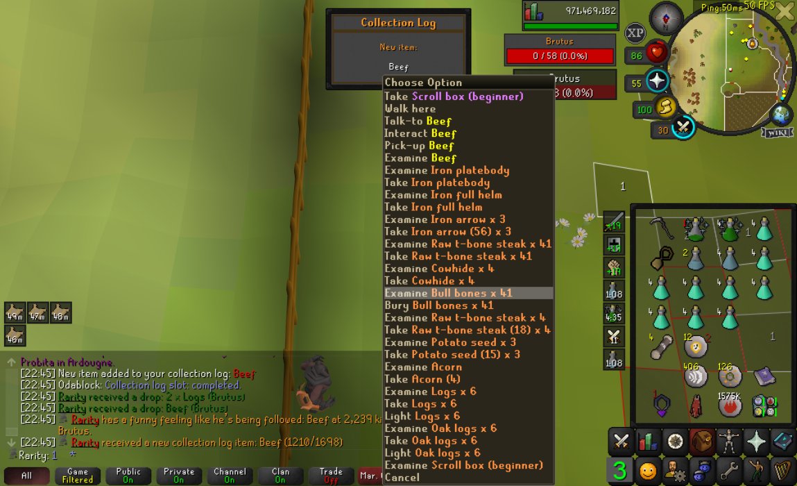 Rarity👾 tweet media