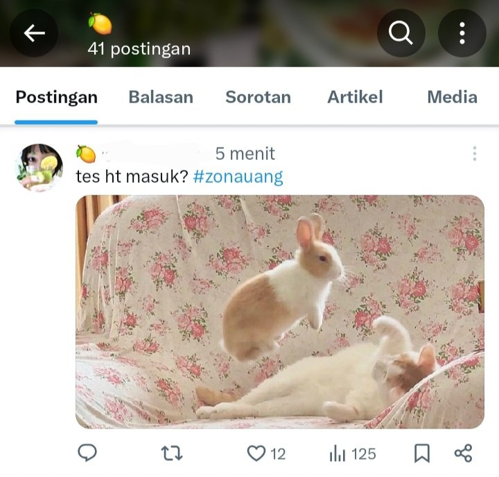 el | @ after dm tweet media