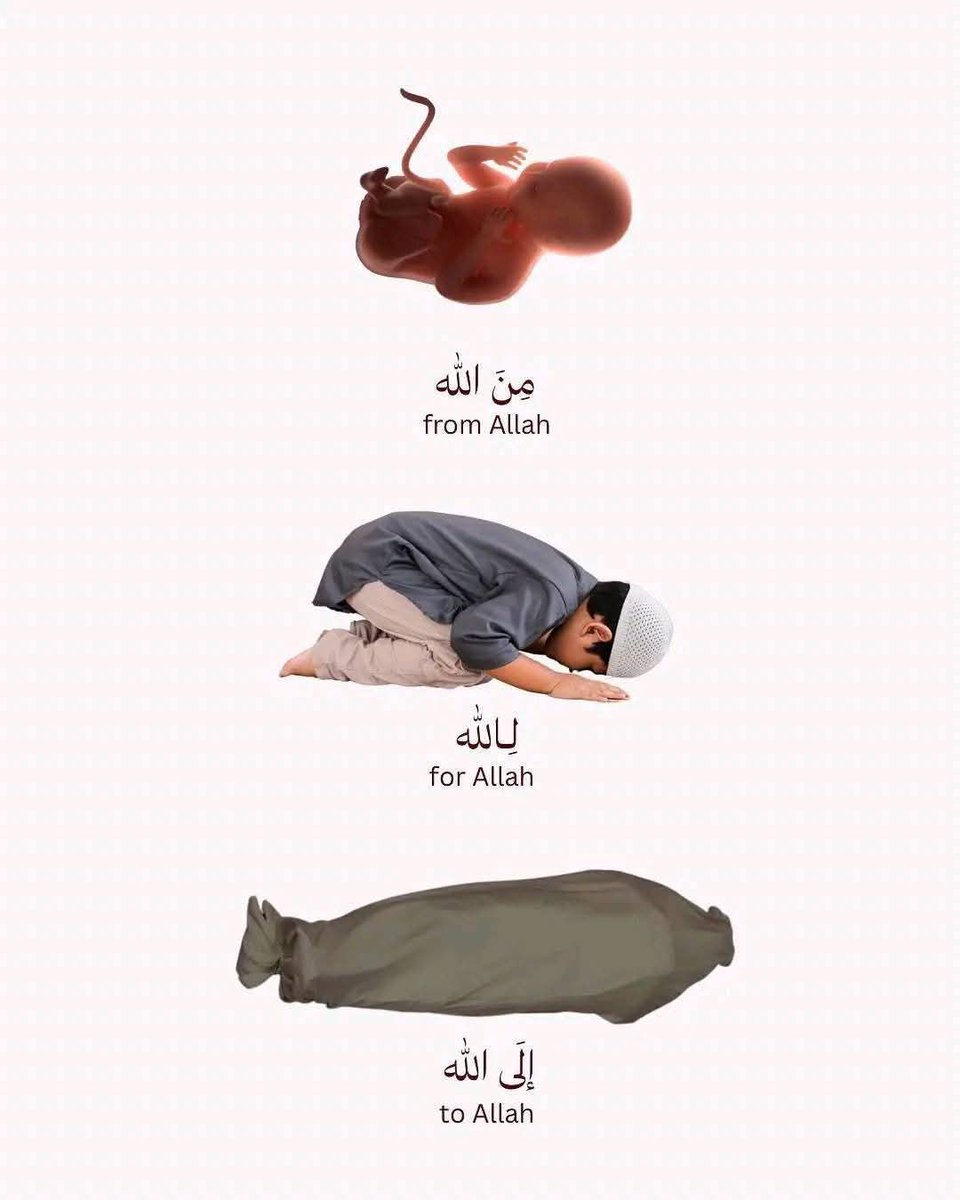7signxx's tweet photo. From Allah,
For Allah,
To Allah... https://t.co/ymfEqR8Iim