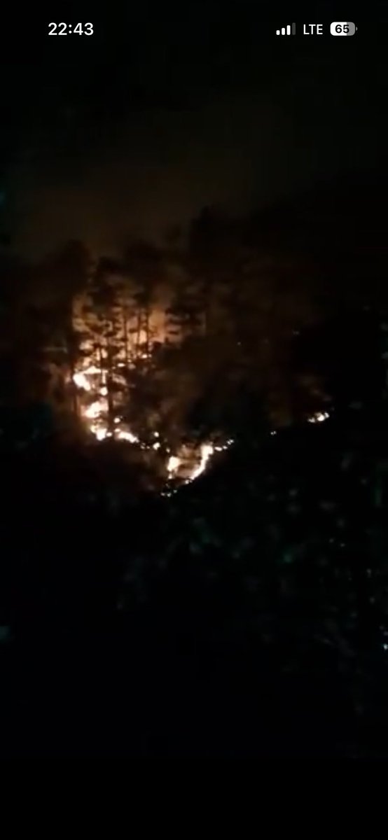 Euniceumanzor14's tweet photo. Qué “raro” va, solo entra Nasry Asfura al poder y queman La Tigra. 
El que no conoce su historia, está condenado a repetirla https://t.co/O7KR7YCFNy