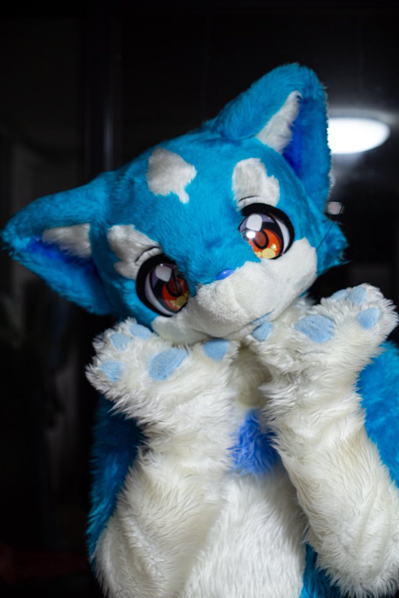 ボラーレ tweet media