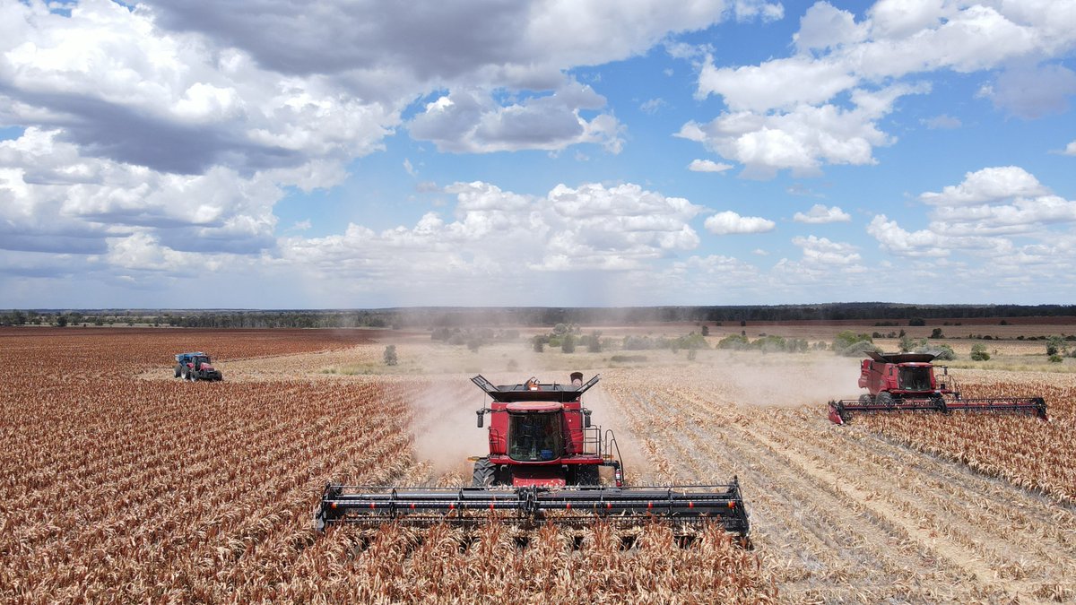 Pacific Seeds tweet media