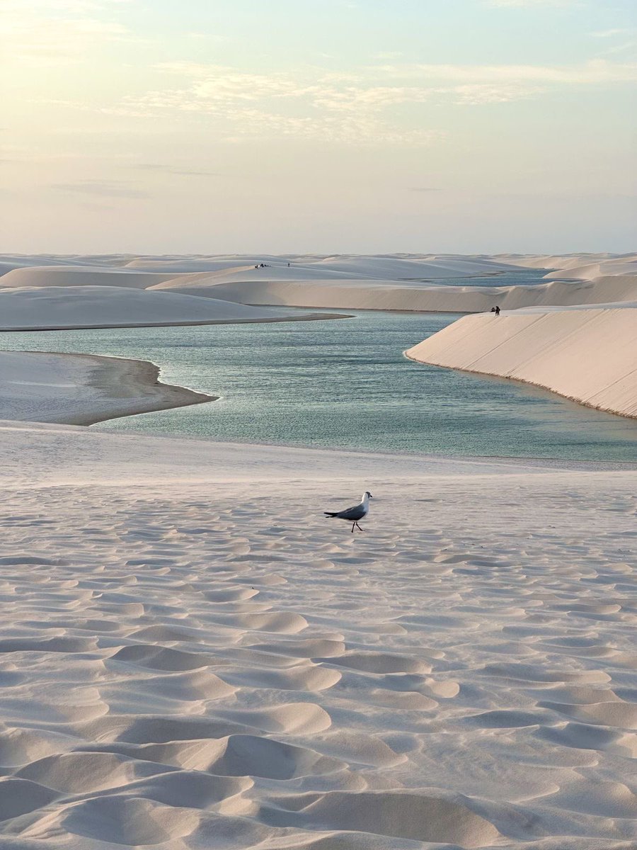 Lençóis Maranhenses National Park, Brazil