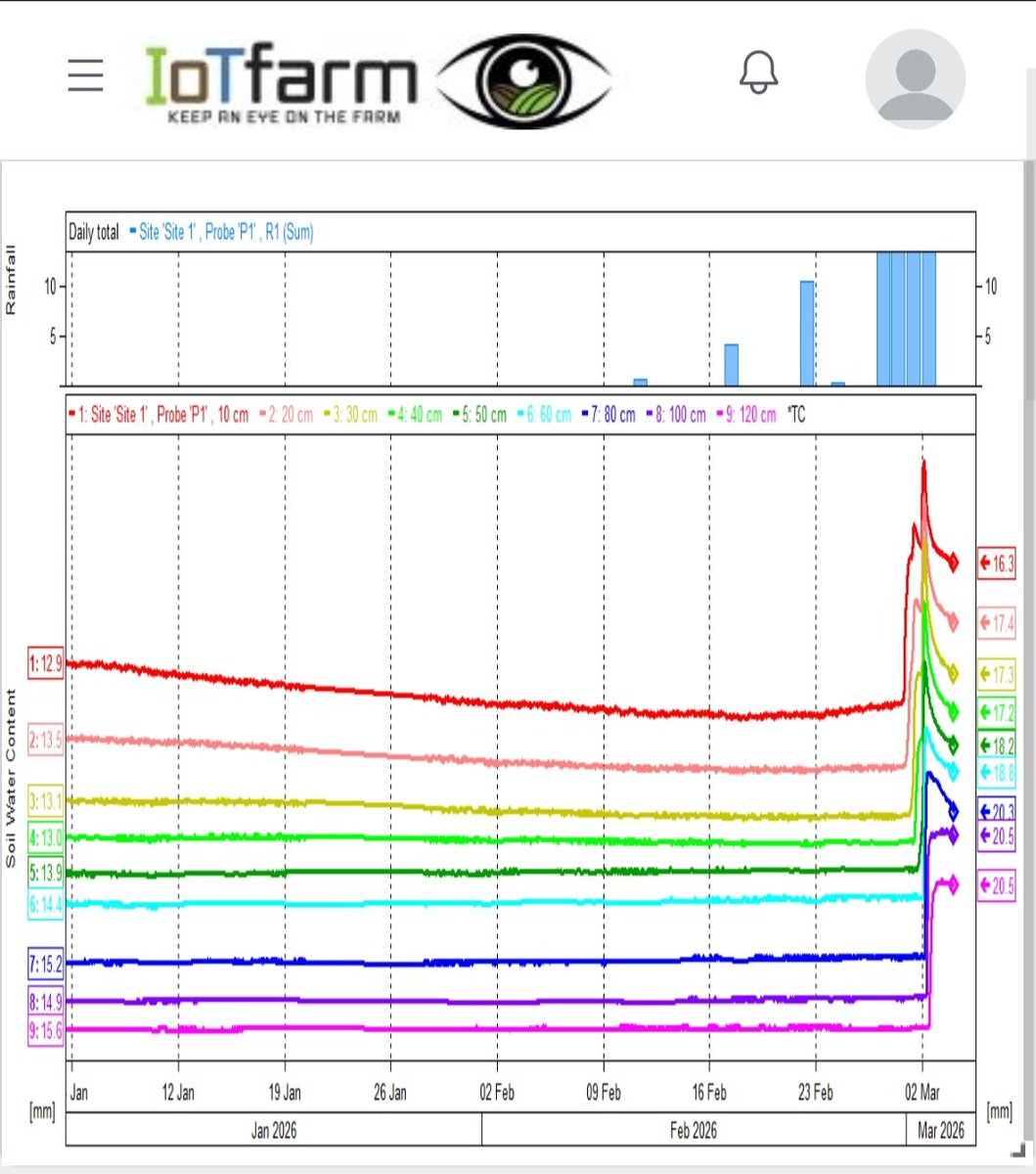 Leighton Wilksch tweet media