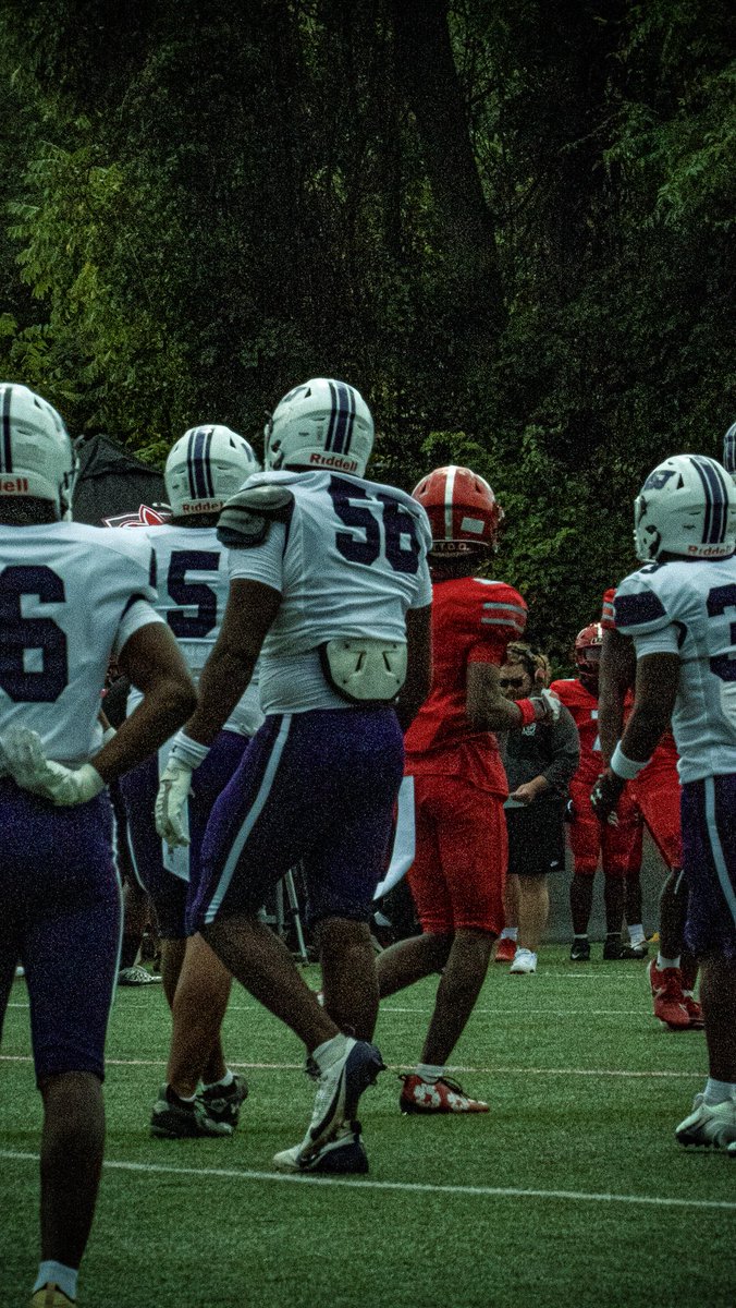 Carlos Shird 3⭐️ tweet media