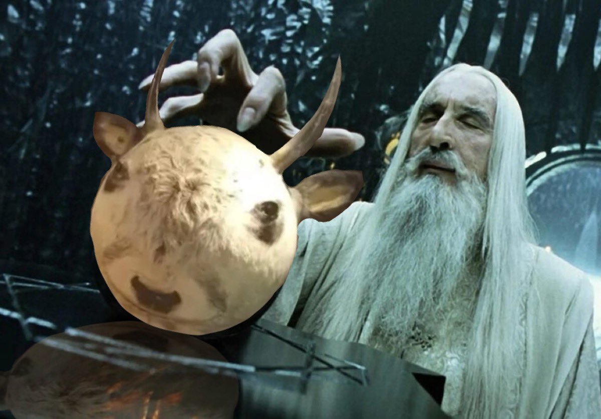 Greg the Sorcerer tweet media