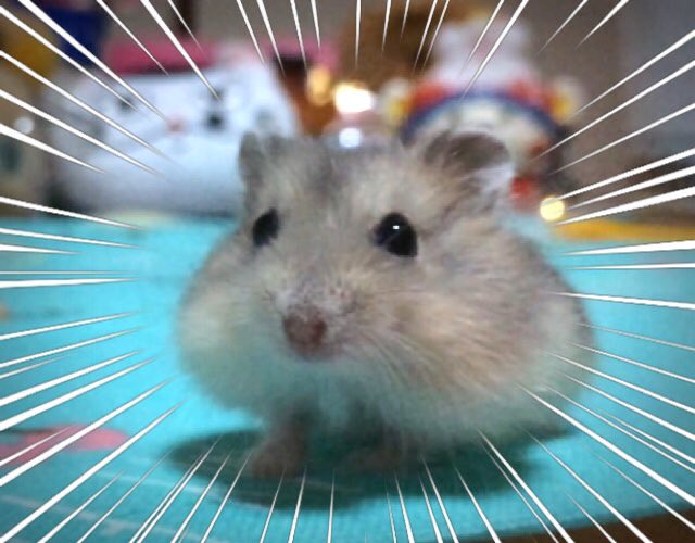 自分　まだ食べれます！！