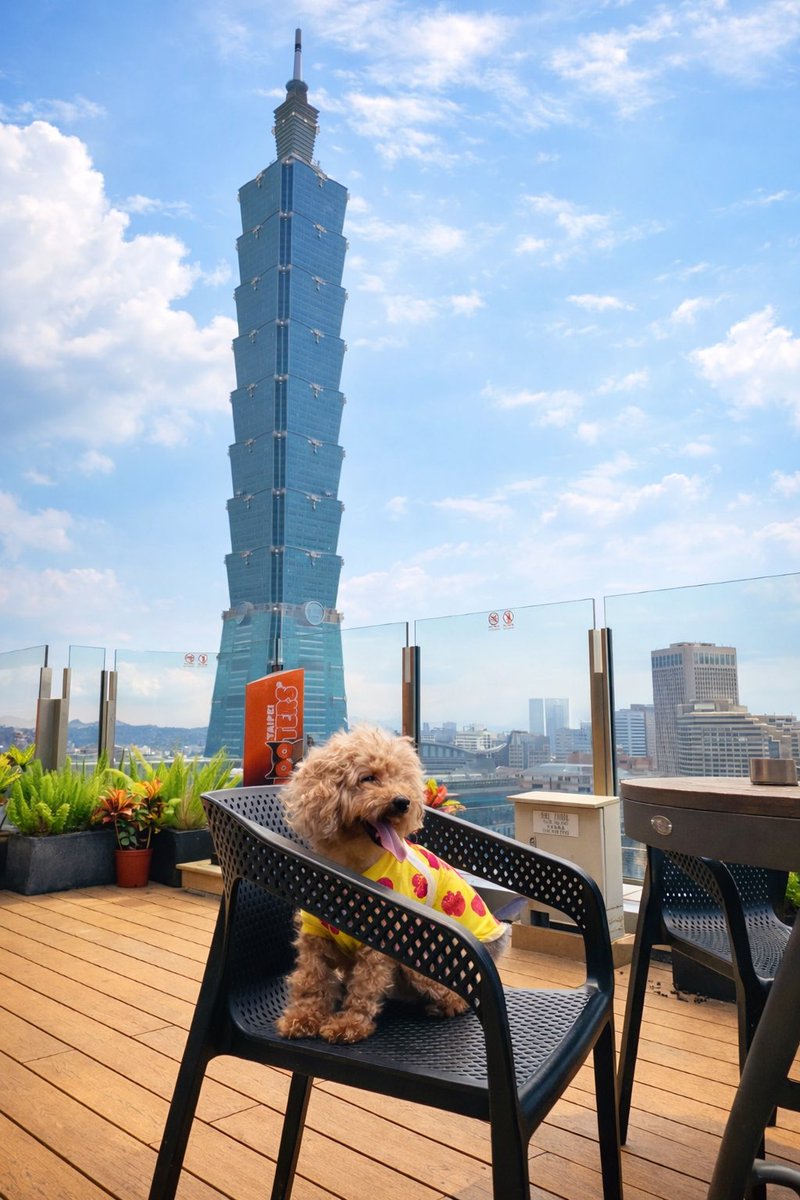 c2mwen's tweet photo. ⚾️明早11:00 WBC首戰澳洲 ,有空的蚊粉們一起去看戶外轉播吧 🥳 https://t.co/uAnwycKPDL