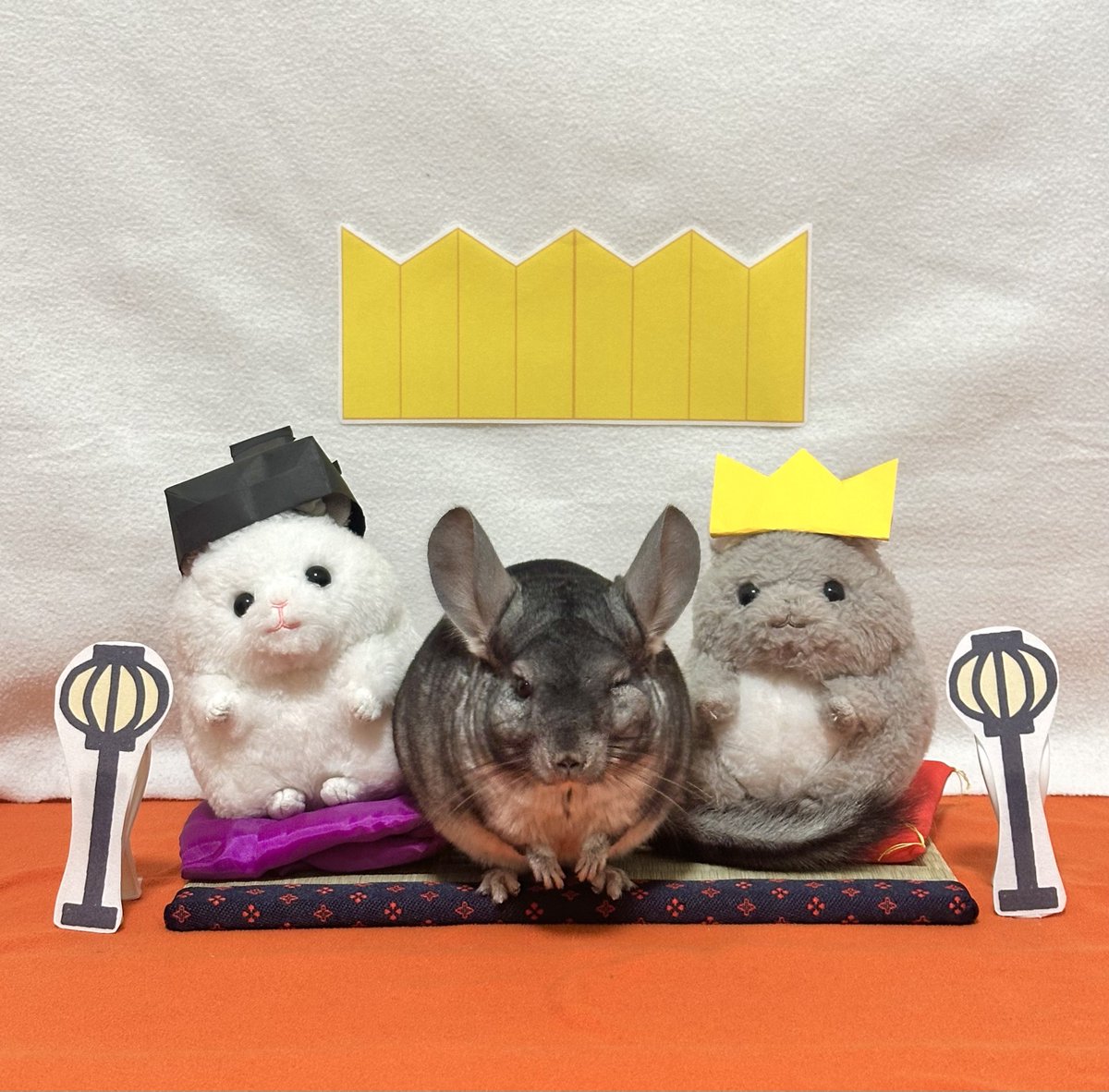 ちーこっこ🐭 (@koyukineko9) / Posts and Replies / X