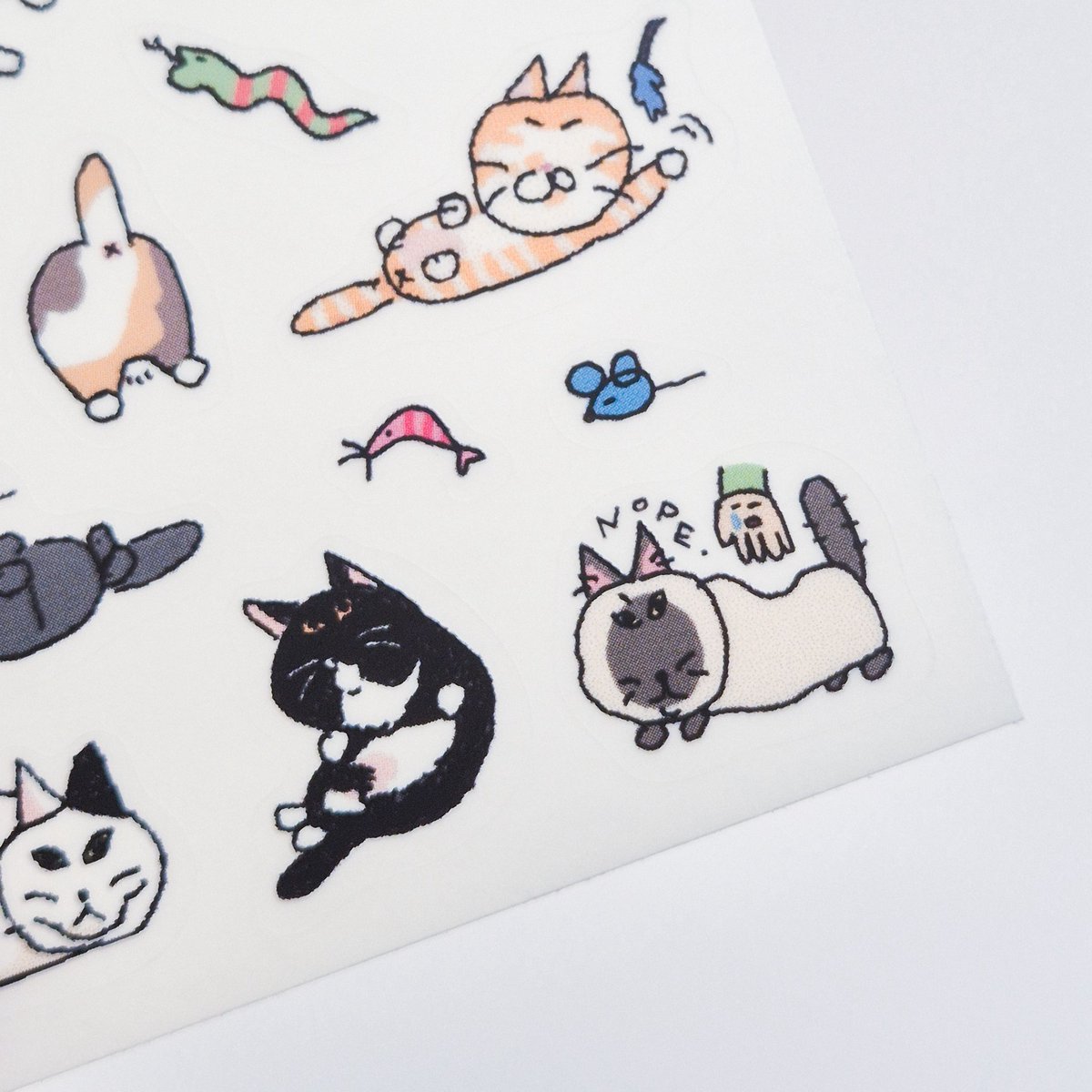 고사리 tweet media