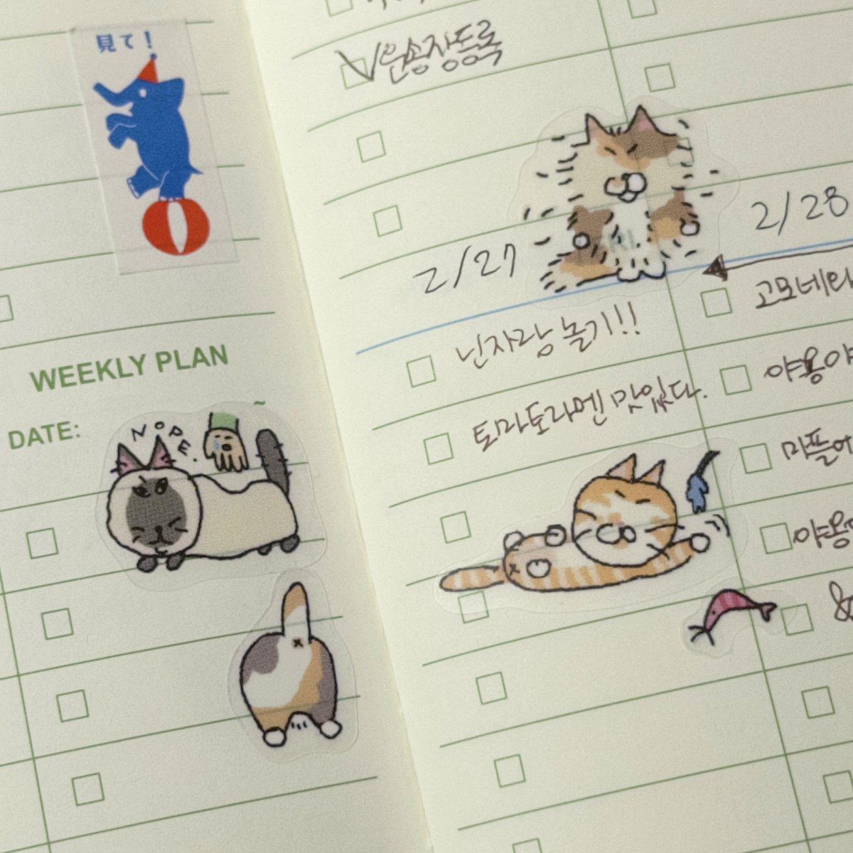 고사리 tweet media