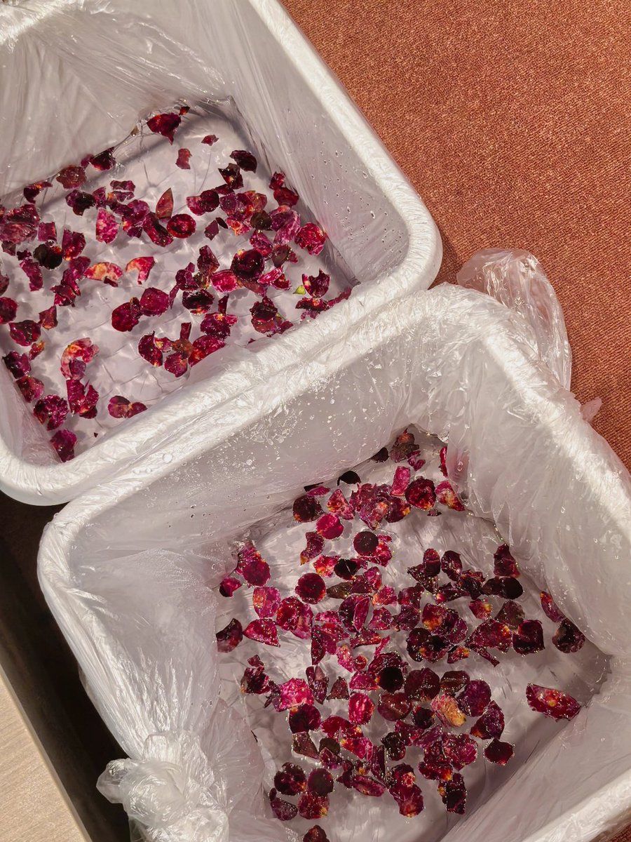 シャオヤ tweet media