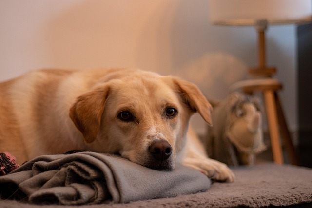 Doug Trevino tweet media