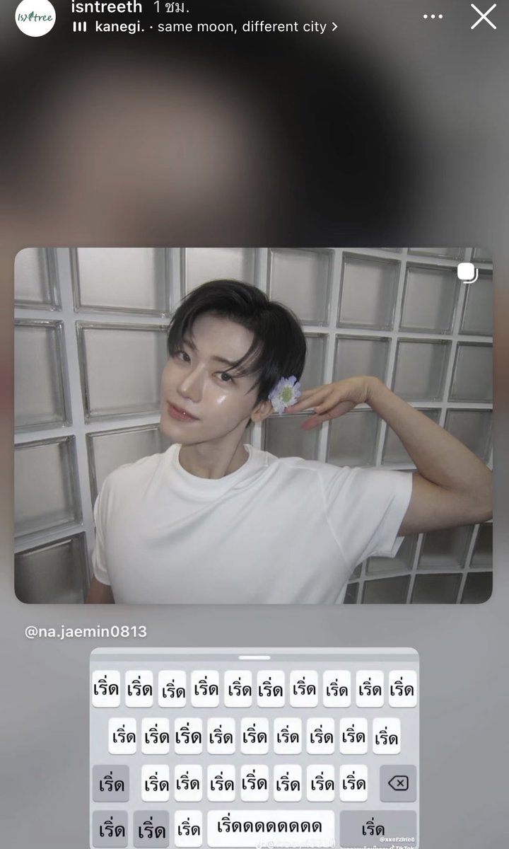 เข้าใจปะว่า ISNTREE นางก็เป็นแม่แท้ๆ ของชีอะ