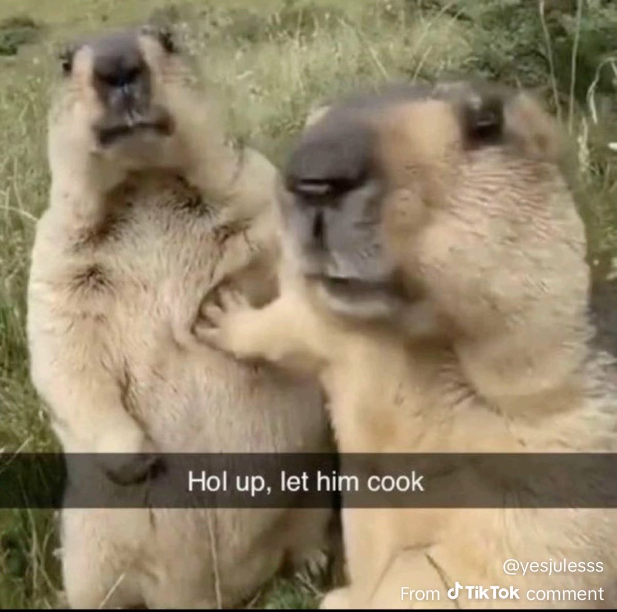 GLXY Wolf tweet media