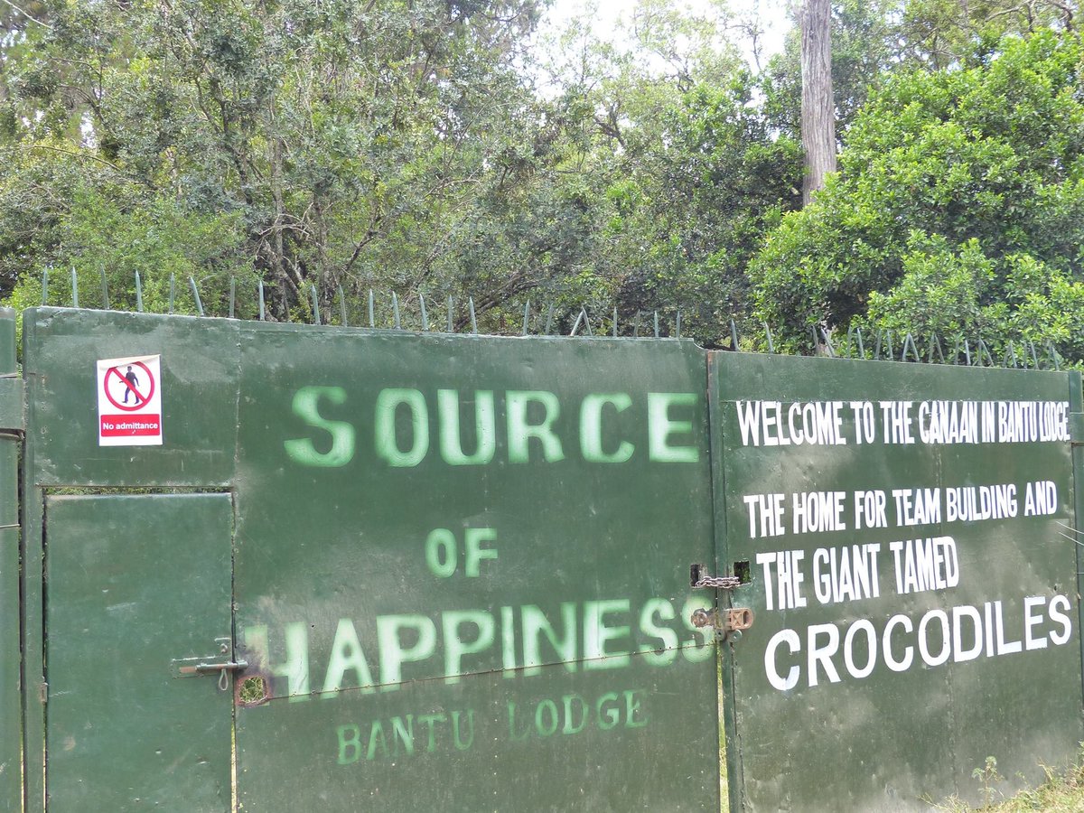 Photos for Trees Kenya🌳 tweet media