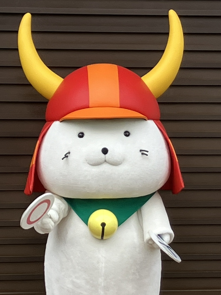 3月4日㊌の彦根城🏯 彦根城に特別住民票を持つひこにゃん😺 今日も元気