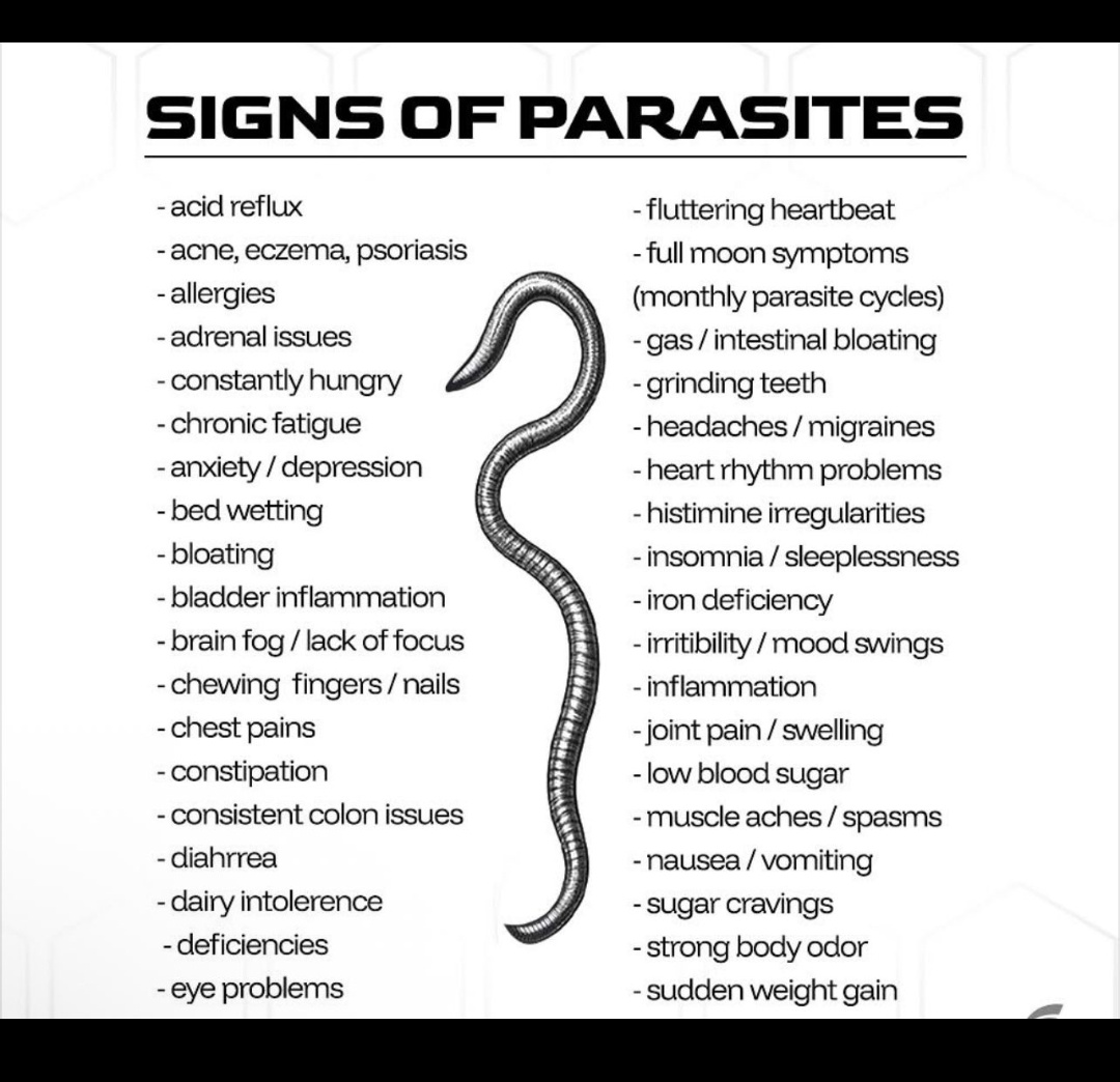 cyprian23's tweet photo. Some of the conditions we spiritualize are simply signs of parasites present that have thrived long enough in their hosts (your body), damaging cells, tissues and organs. 

The potency of these parasites are grossly underestimated and the long term effects are disturbing when ignored and in some cases, the damages are almost irreversible.

It's also worth noting that these issues, if not checked early, can lead to unhealthy patterns and lifestyle changes that affect appearance and performance generally.

There are days you just know what is wrong and what to take (but it might still come back) and there are other days where you can't exactly pinpoint what the heck is going on..

You could almost term it a spiritual attack for lack of better diagnosis. That's because parasitic functions and demonic operations, have a lot in common: they dwell in their hosts and take control by overriding natural functions of the body systems.

Either way, they both drain and deplete ENERGY LEVELS with increased deficiencies.

And No!
Your Off The Counter worm medicine won't deal with these deadlings as they've built resistance in your body over time all to cause harm.

The good news is there's help and it is potent: IVERMECTIN (4 tabs for 4 weeks. 4 each week).

• But first consult with your general practitioners.