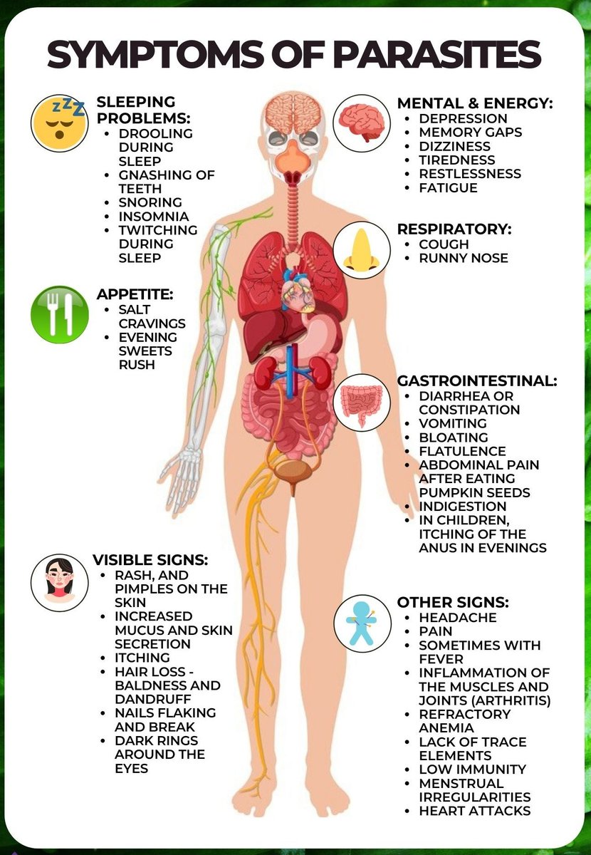 cyprian23's tweet photo. Some of the conditions we spiritualize are simply signs of parasites present that have thrived long enough in their hosts (your body), damaging cells, tissues and organs. 

The potency of these parasites are grossly underestimated and the long term effects are disturbing when ignored and in some cases, the damages are almost irreversible.

It's also worth noting that these issues, if not checked early, can lead to unhealthy patterns and lifestyle changes that affect appearance and performance generally.

There are days you just know what is wrong and what to take (but it might still come back) and there are other days where you can't exactly pinpoint what the heck is going on..

You could almost term it a spiritual attack for lack of better diagnosis. That's because parasitic functions and demonic operations, have a lot in common: they dwell in their hosts and take control by overriding natural functions of the body systems.

Either way, they both drain and deplete ENERGY LEVELS with increased deficiencies.

And No!
Your Off The Counter worm medicine won't deal with these deadlings as they've built resistance in your body over time all to cause harm.

The good news is there's help and it is potent: IVERMECTIN (4 tabs for 4 weeks. 4 each week).

• But first consult with your general practitioners.