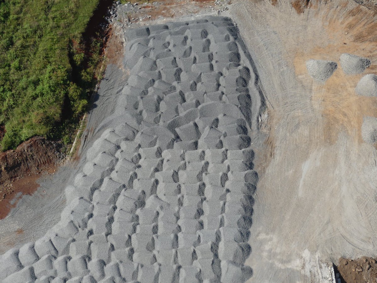 Photos for Trees Kenya🌳 tweet media