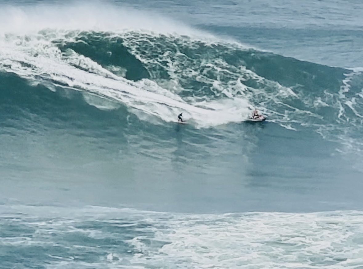 Meningioma Host tweet media