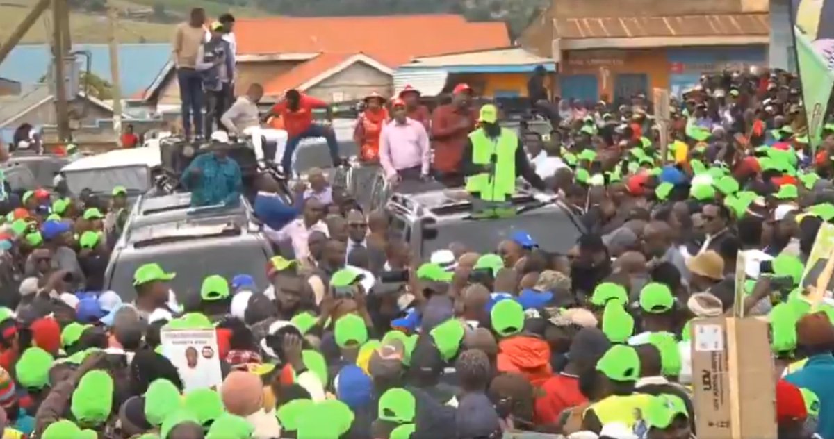 The Patriot tweet media