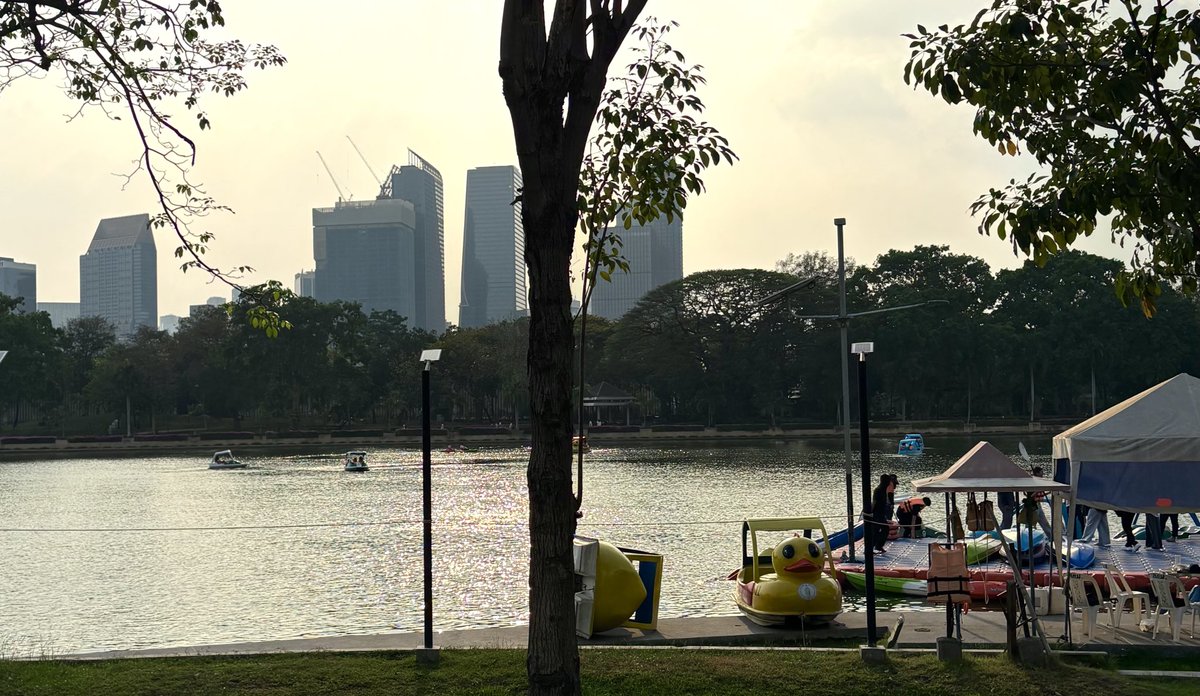 hfleurdiout's tweet photo. สวนเบญก็สวยมากเหมือนกัน เราชอบไปพายคายัคกับเพื่อนตอนช่วงเย็น ๆ แสง Golden Hour สวยมาก เดินทางง่ายด้วยมา MRT สถานีศูนย์ประชุมแห่งชาติสิริกิติ์ก็ถึงแล้ว 🪷🛶 https://t.co/KB7hqnSg9q