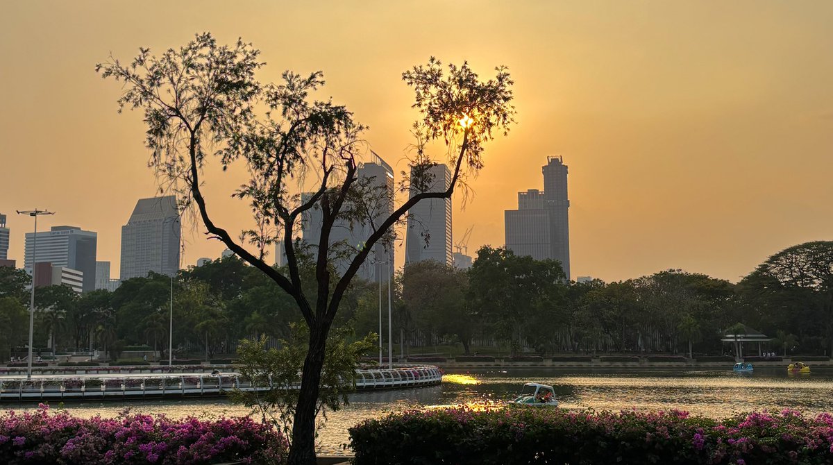 hfleurdiout's tweet photo. สวนเบญก็สวยมากเหมือนกัน เราชอบไปพายคายัคกับเพื่อนตอนช่วงเย็น ๆ แสง Golden Hour สวยมาก เดินทางง่ายด้วยมา MRT สถานีศูนย์ประชุมแห่งชาติสิริกิติ์ก็ถึงแล้ว 🪷🛶 https://t.co/KB7hqnSg9q
