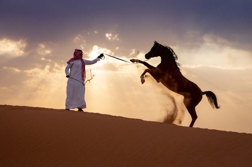الدين إليّ و أبوي قبلي و جدي
... ما منهم اللي مات ما هــوب مديـون

لكنهم يوم أن ( نجد ) متـردي
... يحّجون عـن غارات ( بقعا ) و يـذّرون

و ليا نصاهم طاغياًَ مستبـدي
... على عـرانيــن الرجـــال يتـوطـــون

🔺الشيخ عبدالرحمن بن ماجد بن ربيعان🔺