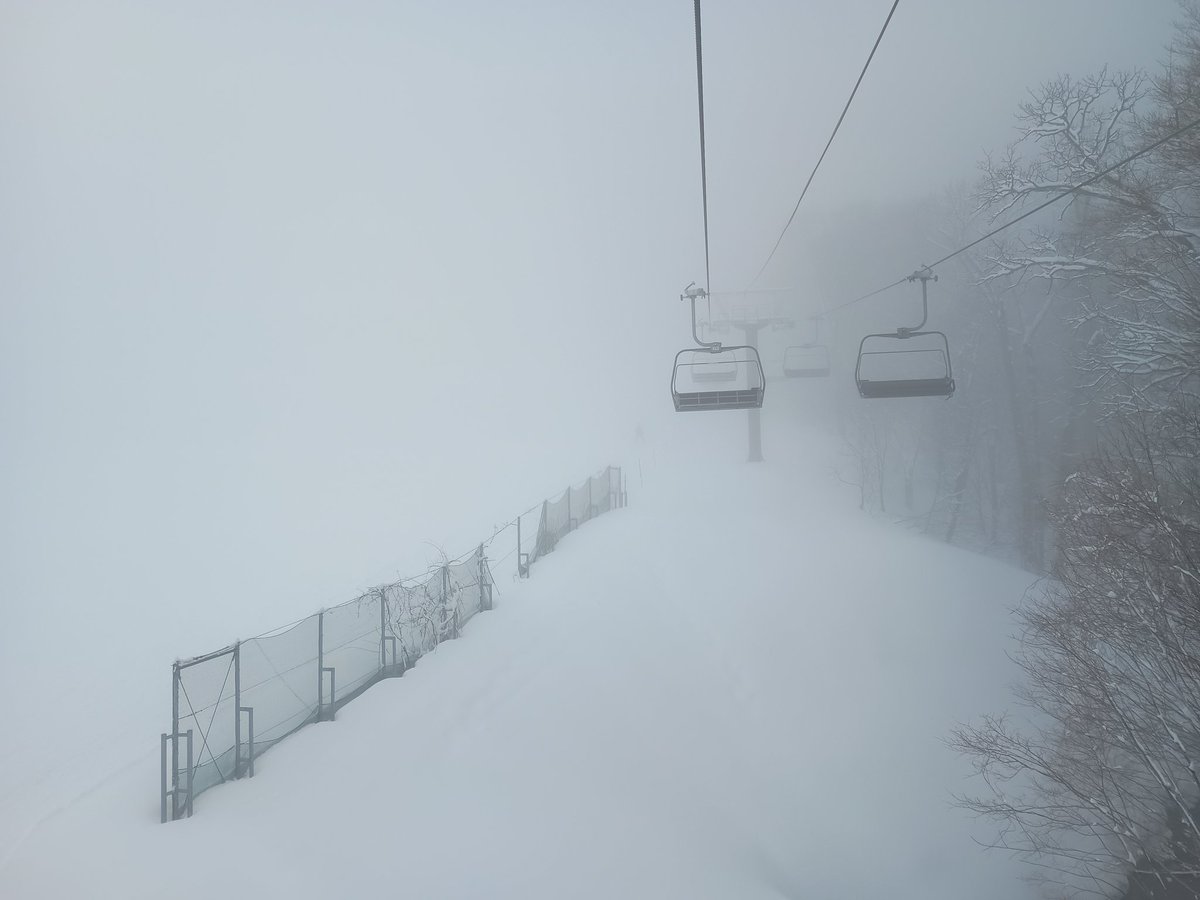 シーズン41日目

昨晩からの今朝にかけて雪は、家の周りは積雪ゼロ、車の屋根で2cm、アルツ駐車場で5cmという結果。
コネクタスはお留守番で、サルトロ。
20cm重雪ツリーラン3本→南パーク1本→北パーク。
濃ガス＆強風で2時過ぎに撤退開始

#スキーボード
#ネコママウンテン
#GRskikife
#Saltoro