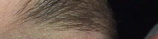 Mr Twist tweet media