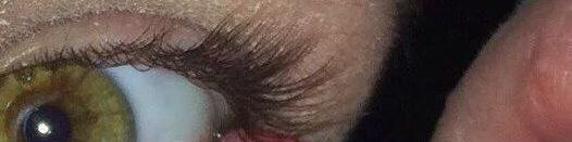 Mr Twist tweet media