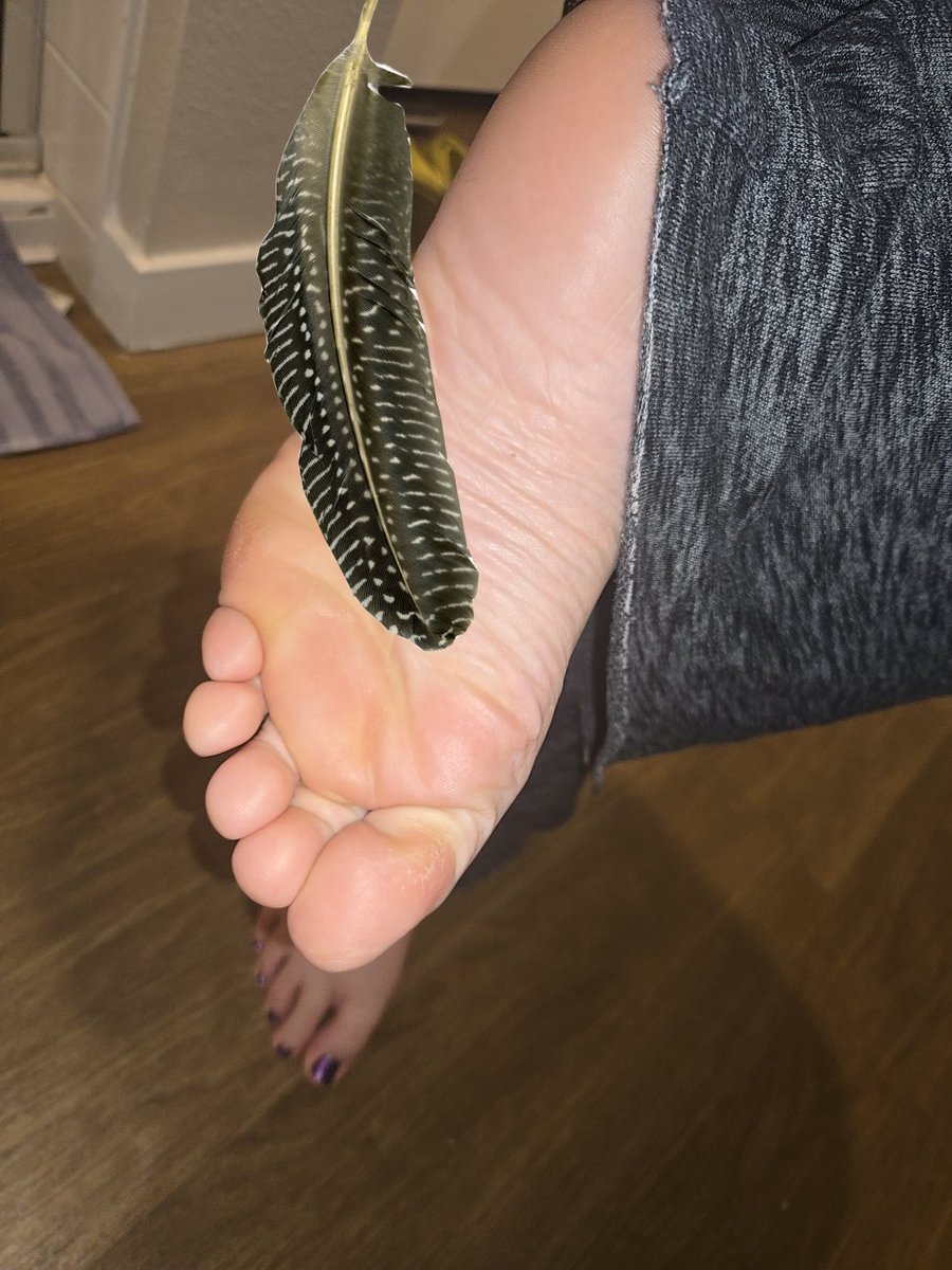 MasterTickler_42 tweet media