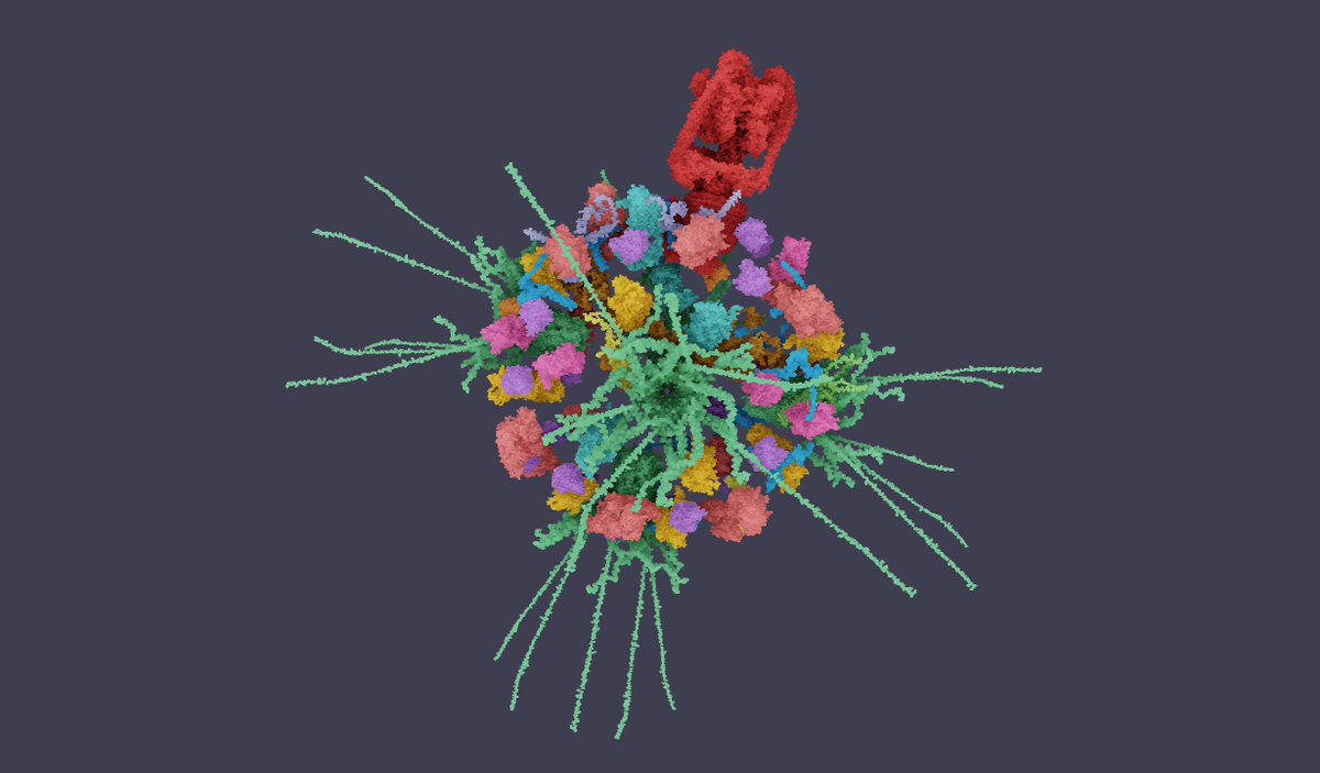 Tim Davison ᯅ tweet media