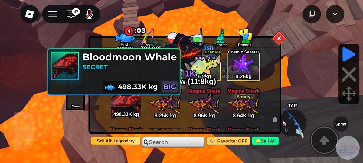 FISH IT FESS ‼️ WTT CANTUMIN UNAME tweet media