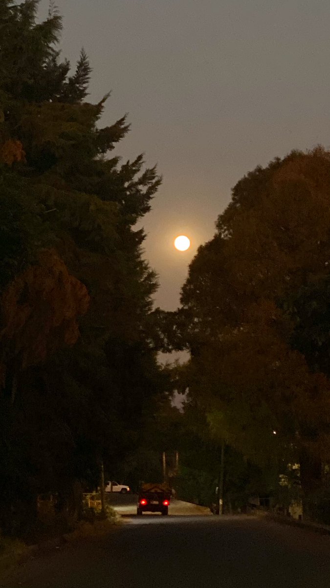 luna_sol08's tweet photo. Un poema… 😍🌙💫 https://t.co/ELJQGLttDH