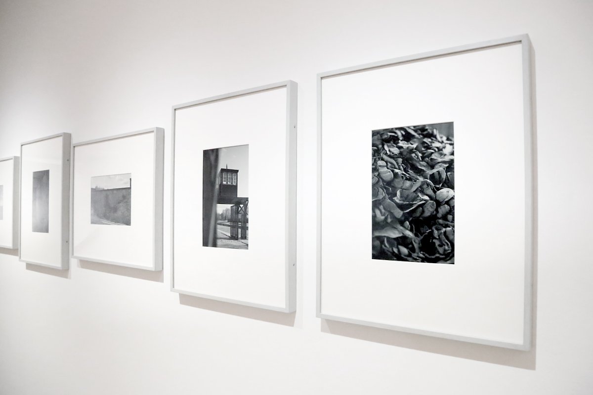 Kultur-MV tweet media