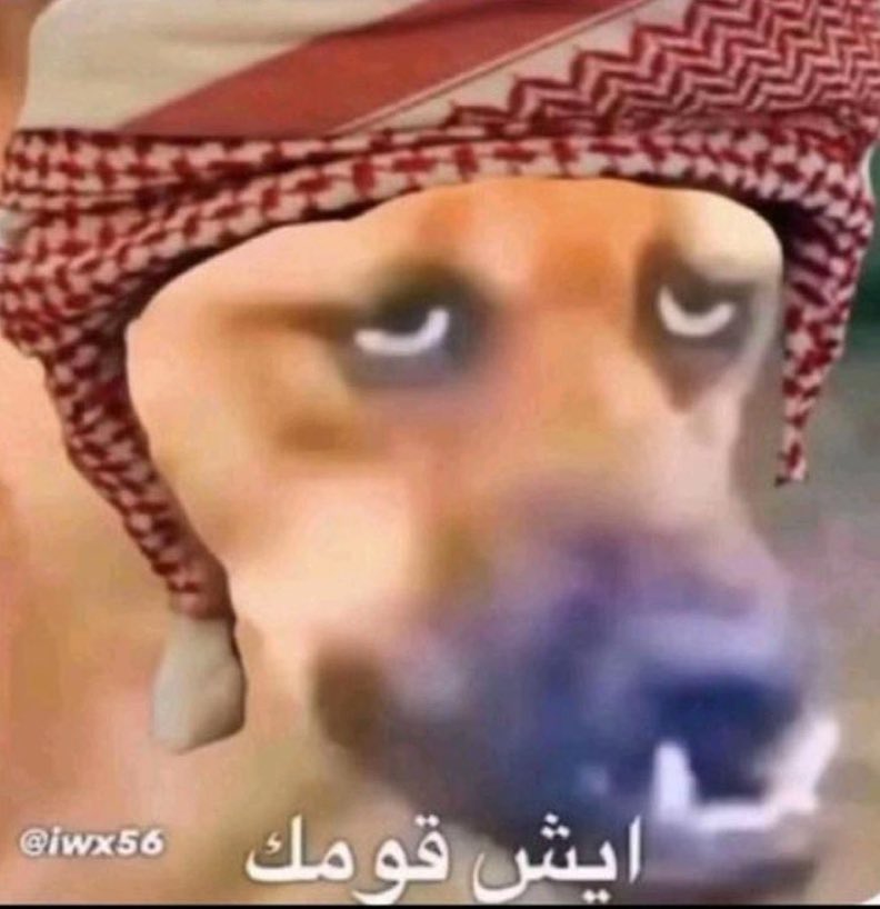 IconArabMemes's tweet photo. ايش قومك https://t.co/rRymRJurQT