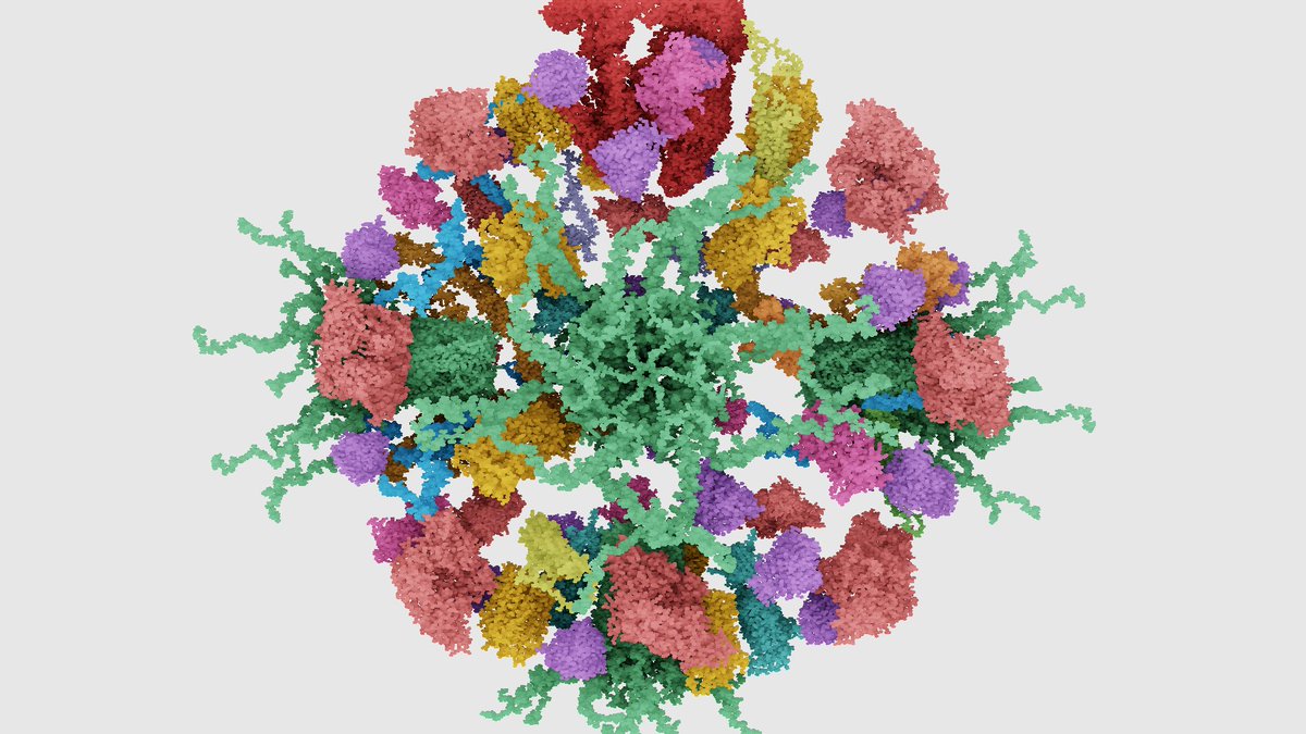 Tim Davison ᯅ tweet media