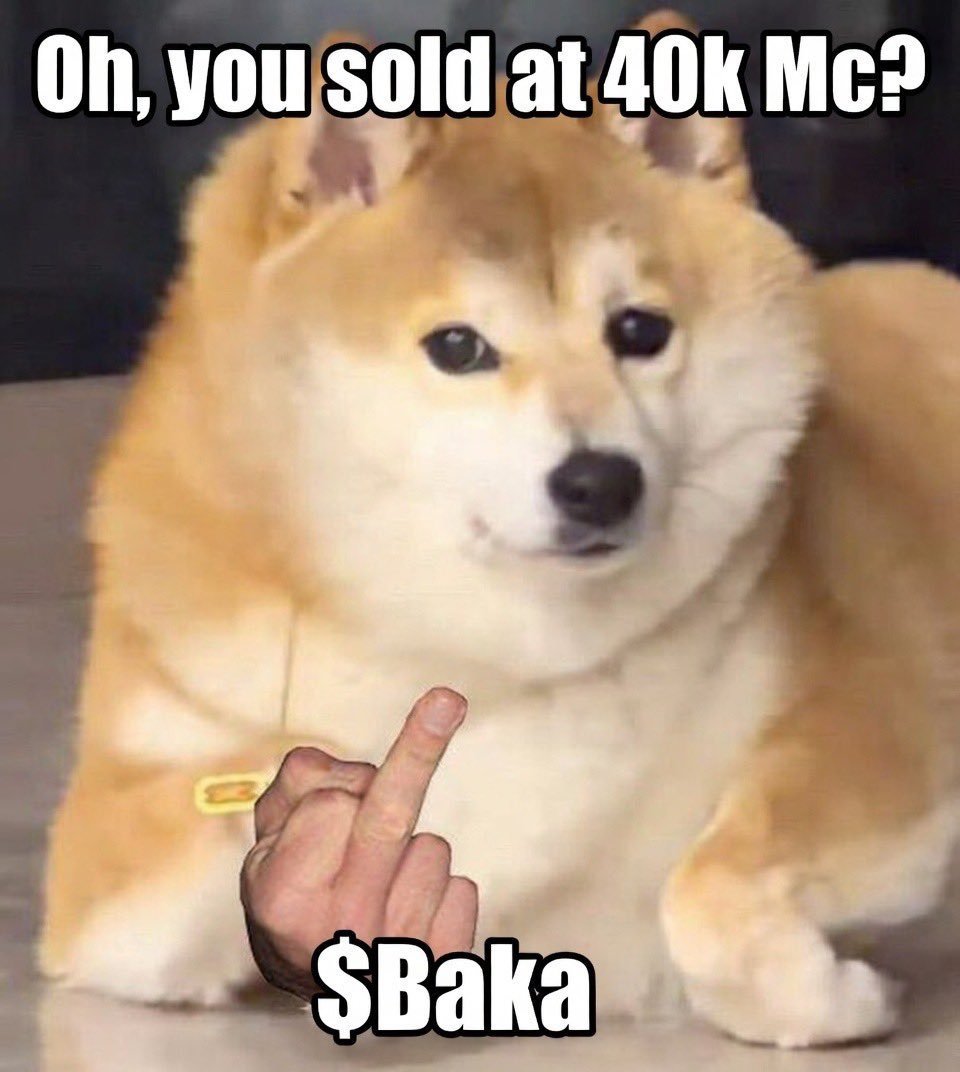 ofthegoldenland's tweet photo. This one was a no brainer. I couldn't imagine how anyone would have missed buying $BAKA
$BAKA
CA: 4xB2NGznSwQXAAjRsyAputhonM2uDD1FYwnGo92pdoge
#ASLAN #RABBIT #PIPPKIN #JELLYBEAN #PENGUIN #WHITEWHALE #BELLATOR #PUNCH #LOBSTAR #USA #IRAN #PEACE #BOMBER #PEACEGUY #UIV #WARBROS #WAR #GOYIM #KHAMENEI #OIL #Pigeon #war #warch #trinket #maxxing #autism #pizza #goose #pencil #oil #BAKA