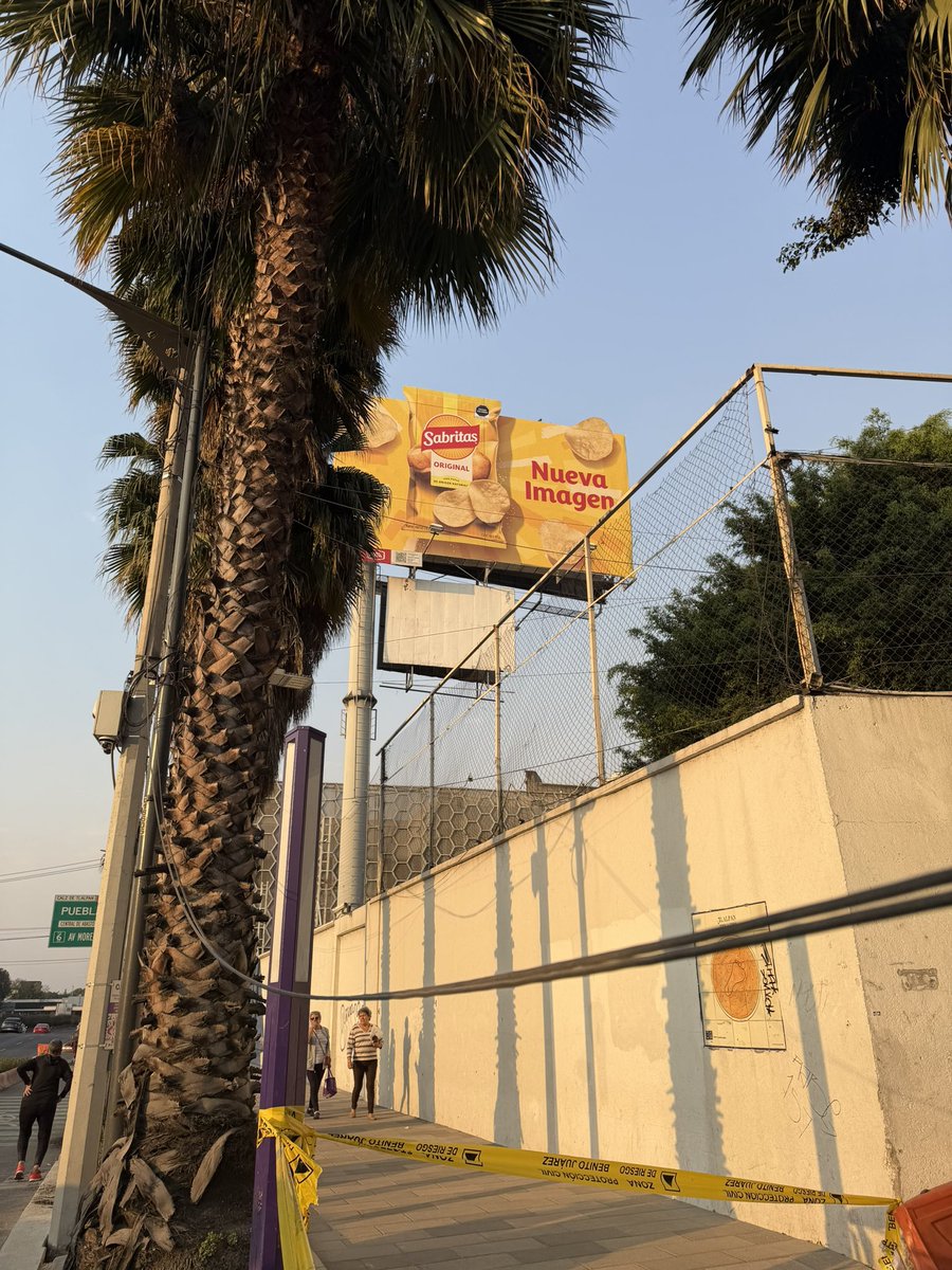 🅿️🅰️🅾️ tweet media