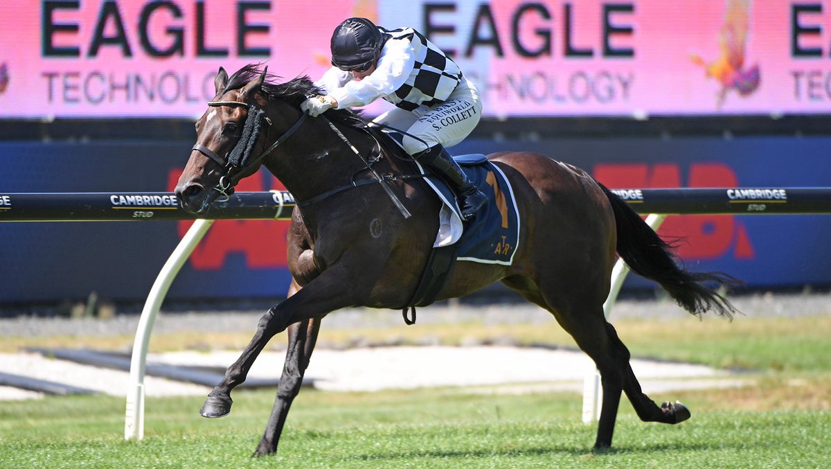 Darryl Anderson 🇳🇿 tweet media