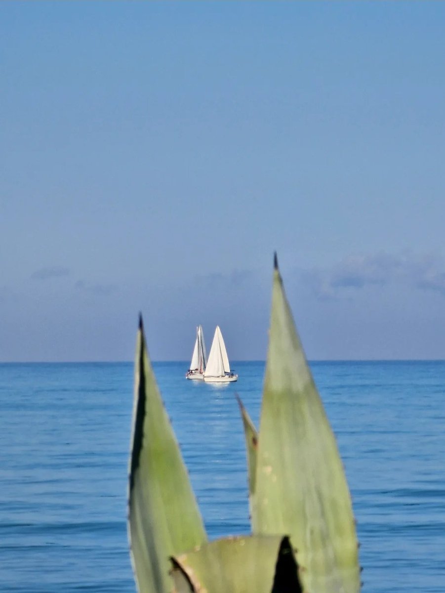 Non sono muri, sono solo confini che aspettano di essere superati.

#BarriereFragili
#VentagliDiParole 

#buongiorno 

📸Marcello Ingrassia
