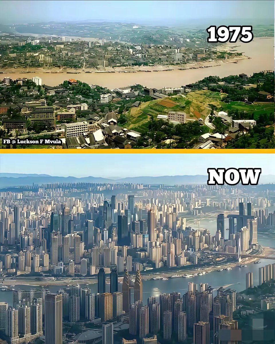 运动水货 tweet media