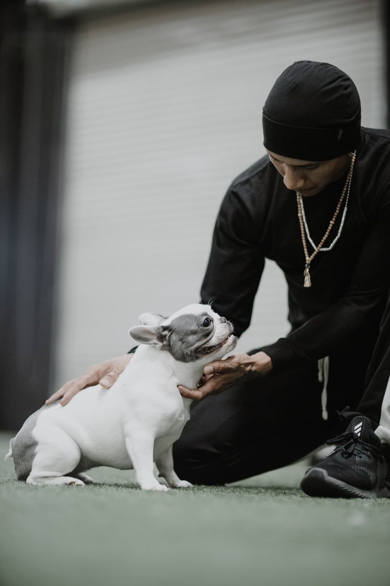 Slum Dog Billionaire tweet media