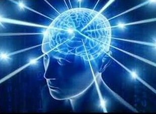 Fukuzawa disolviendo la agencia para no pasarle ningun integrante a mori

#bsdtwt #bsd130