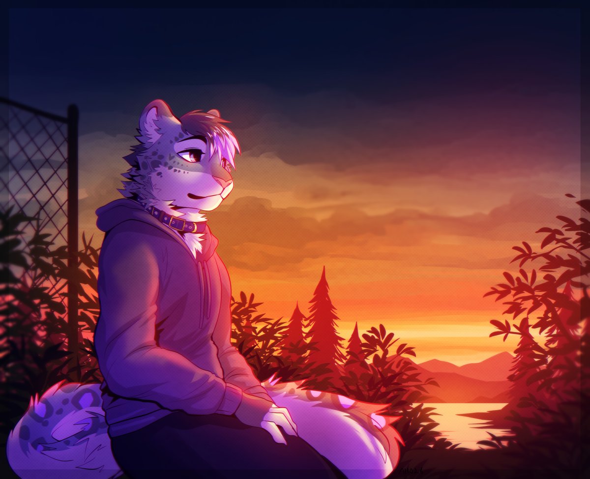 ✧✦ALLO✦✧ tweet media