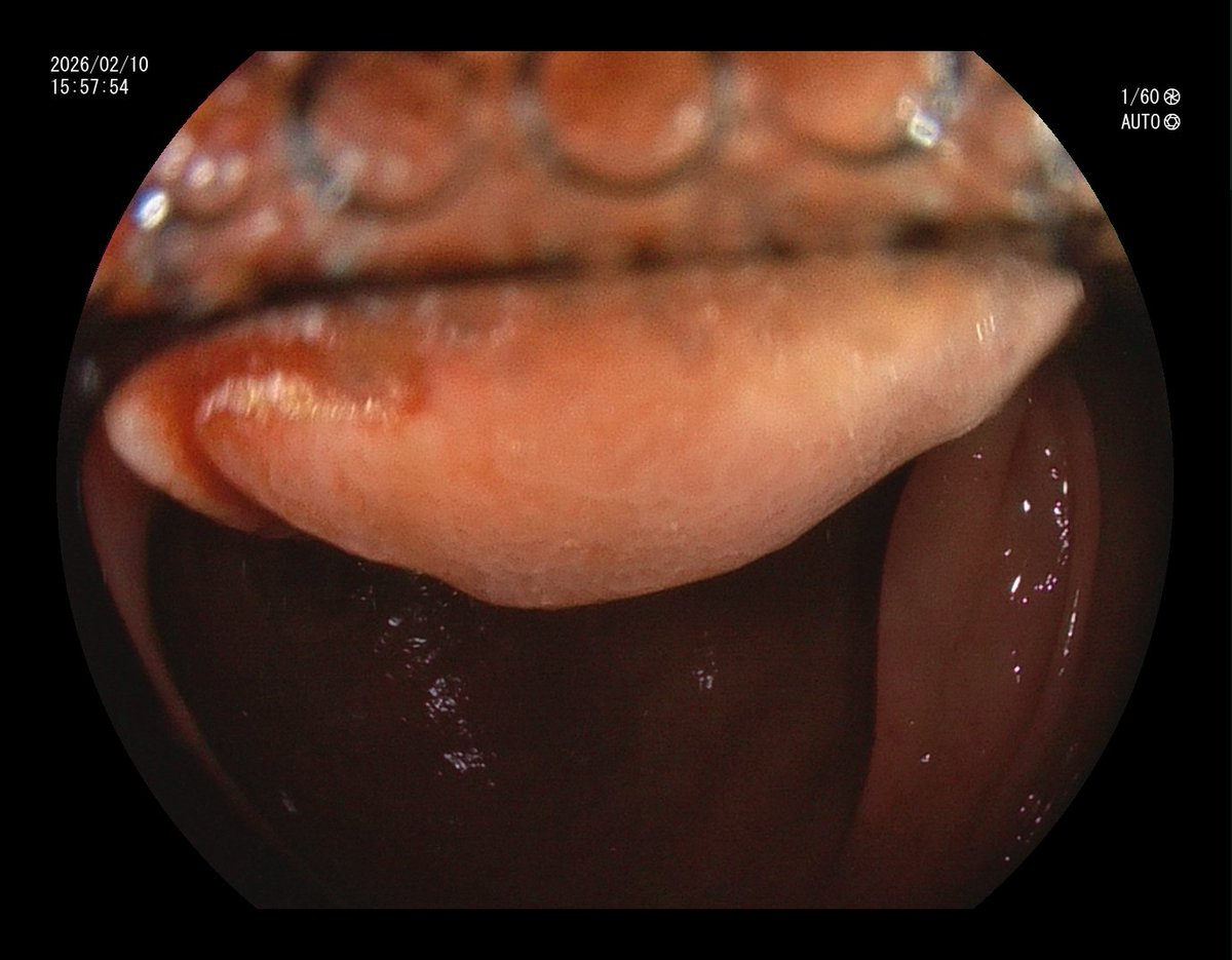 Aleksandar Gavric tweet media