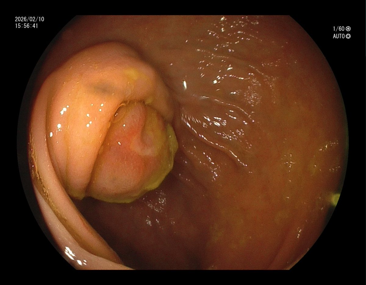 Aleksandar Gavric tweet media