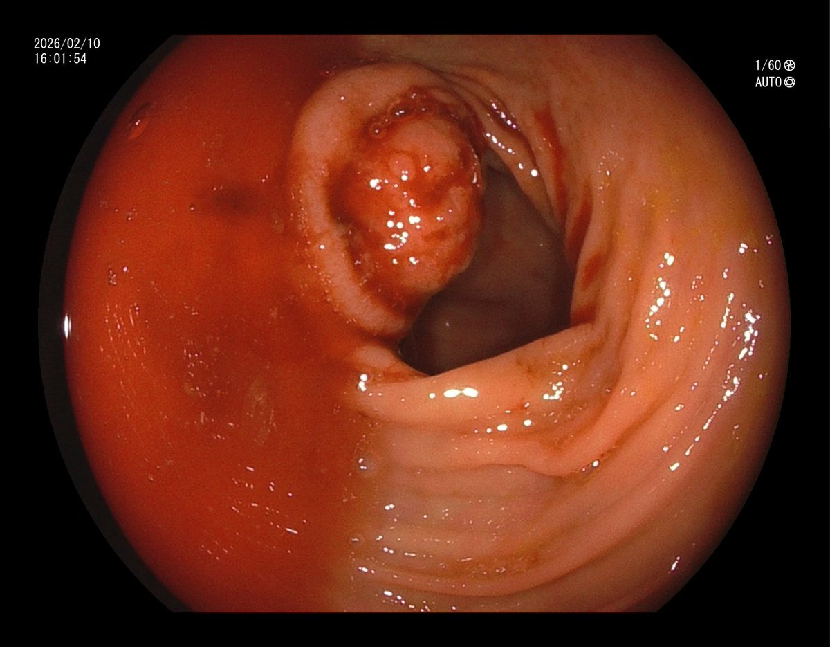 Aleksandar Gavric tweet media